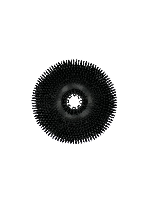 Rengjøring av børste for skrubber tørketrommel Daewoo DAFL50A/Kremer KR-FL50A